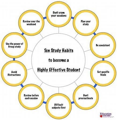 Tips For Mastering ERP Systems