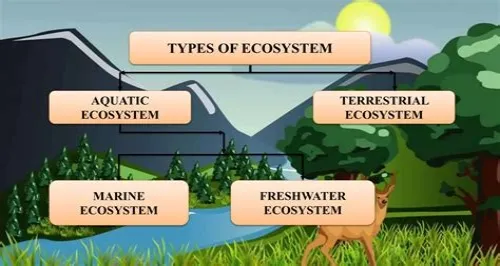 Tips For Mastering ERP Systems