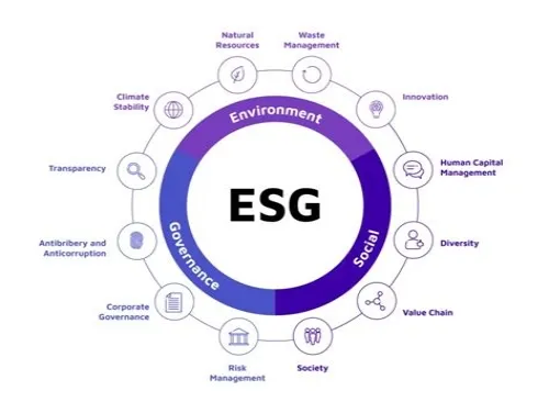 Tips For Mastering ERP Systems