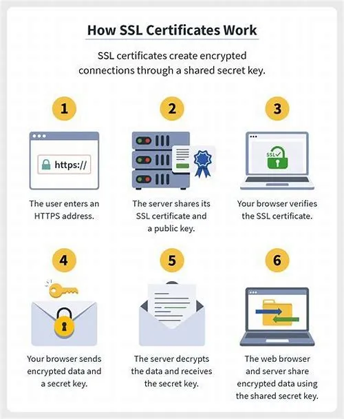 Tips For Mastering ERP Systems