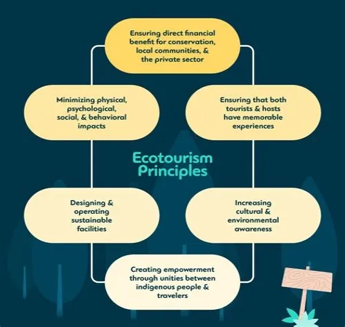 Tips For Mastering ERP Systems