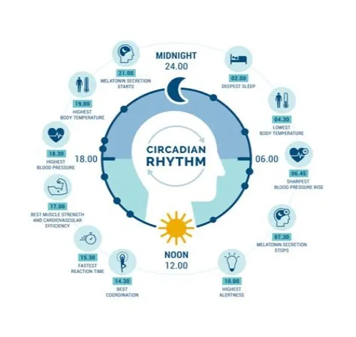 Tips For Mastering ERP Systems