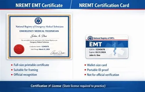 Tips For Mastering ERP Systems