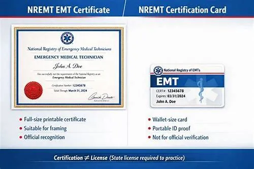 Tips For Mastering ERP Systems