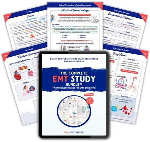 Tips For Mastering ERP Systems