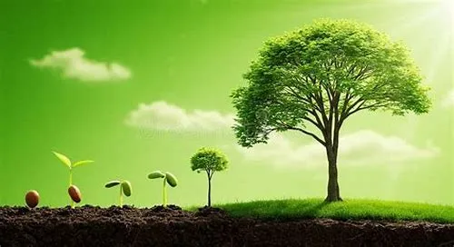Tips For Mastering ERP Systems
