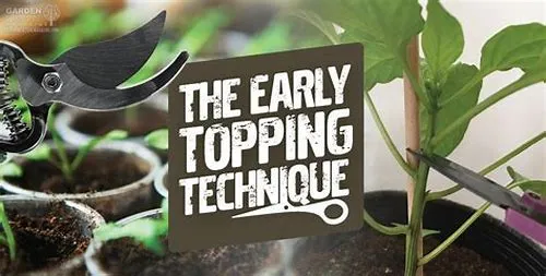 Tips For Mastering ERP Systems