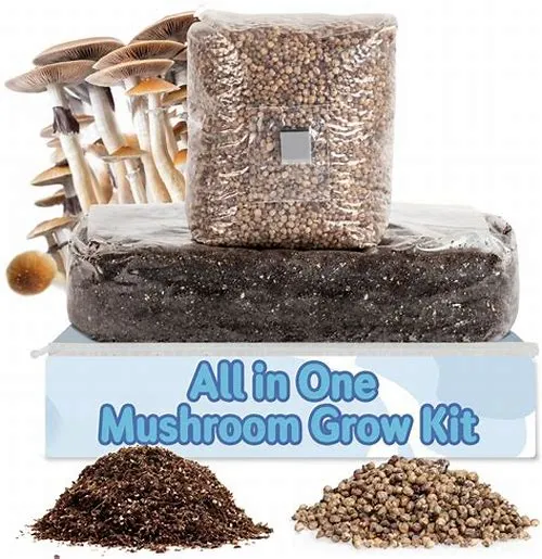 Tips For Mastering ERP Systems