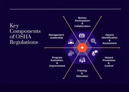 Tips For Mastering ERP Systems