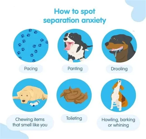 Tips For Mastering ERP Systems
