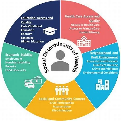 Tips For Mastering ERP Systems