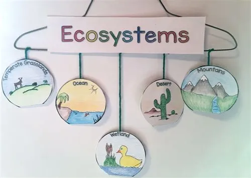 Tips For Mastering ERP Systems
