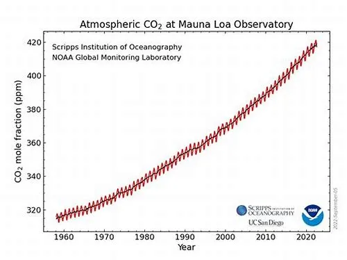 Tips For Mastering ERP Systems