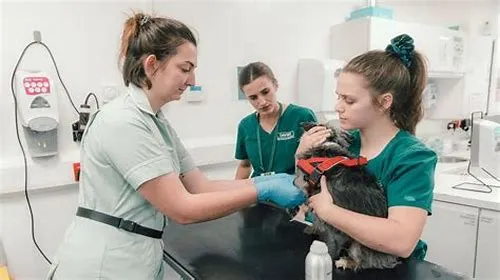 Tips For Mastering ERP Systems