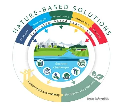 Tips For Mastering ERP Systems